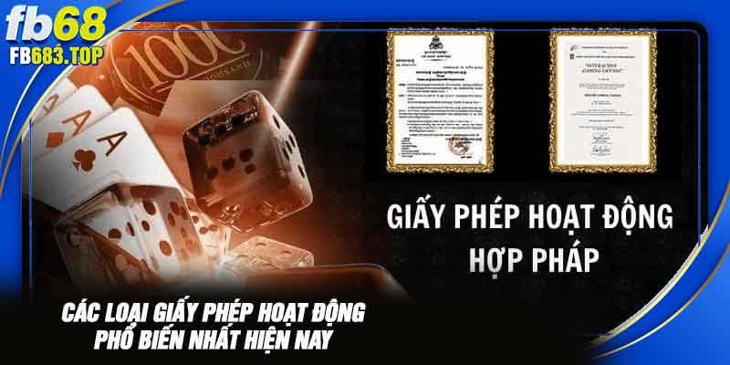 Các loại giấy phép hoạt động phổ biến nhất hiện nay