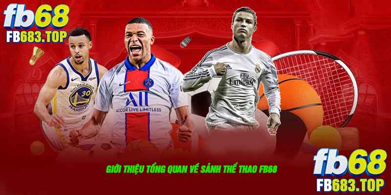 Giới thiệu tổng quan về sảnh thể thao FB68