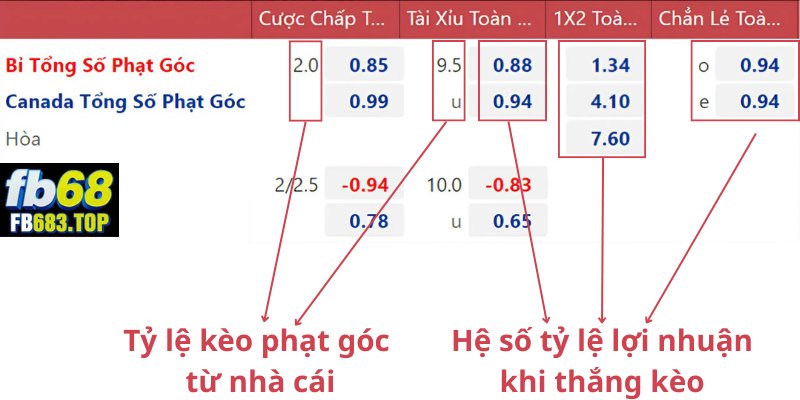 Hướng dẫn cách đọc tỷ lệ kèo phạt góc