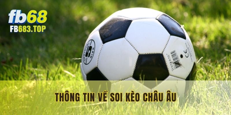 Thông tin tổng quan về kèo Châu Âu